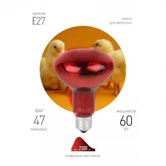 ИКЗК 230-60 R63 E27 Лампочка инфракрасная E27 60 Вт 2 шт. ЭРА ИКЗК 230-60 R63 E27