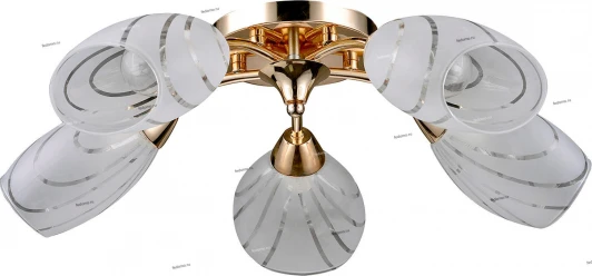 100/5PL Myone 100 100/5PL