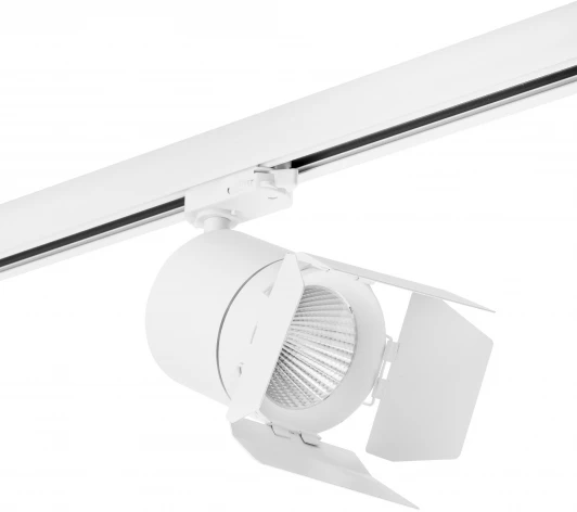 C156296 Трековый светильник Lightstar Canno C156296