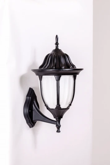 92101/04 Bl Настенный фонарь уличный Oasis Light GENUYA 92101/04 Bl (220V, фонарь, IP44)