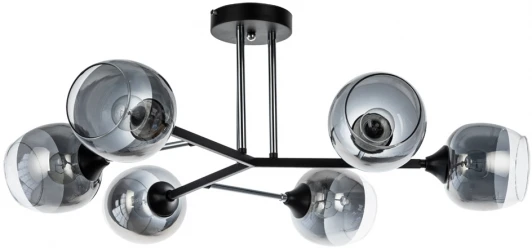 A3580PL-6BK Потолочная люстра Arte Lamp Salm A3580PL-6BK