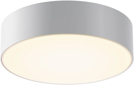 O431CL-L30W3K Потолочный светильник уличный Maytoni Zon IP O431CL-L30W3K (LED, 220V)