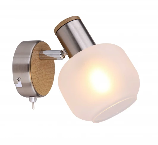 54302-1 Спот Globo Loggi 54302-1