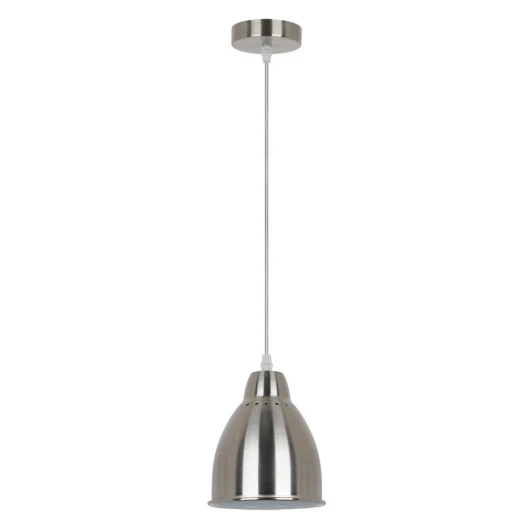 A2054SP-1SS Подвесной светильник Arte Lamp Braccio A2054SP-1SS