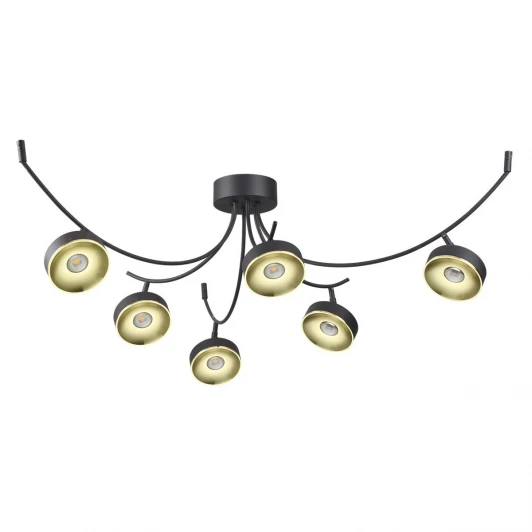 3812/42CL Потолочная люстра Odeon Light Fineca 3812/42CL
