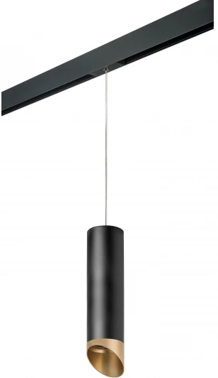 PRORP6497190 Трековый светильник однофазный 220V Lightstar Rullo PRORP6497190 (круглые)