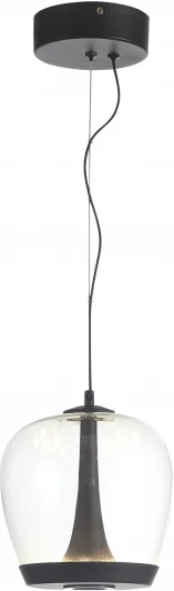 SL6014.423.01 Подвесной светильник ST Luce Ripple SL6014.423.01 Черный/Прозрачный, Черный LED 1*17W (220V, на тросе)