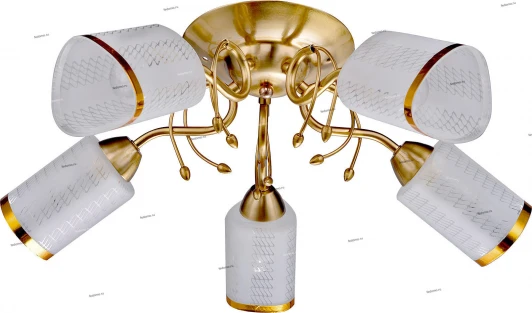 071/5PL Myone 071 071/5PL