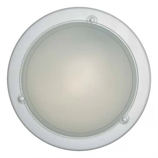 111 Настенно-потолочный светильник Sonex Riga 111