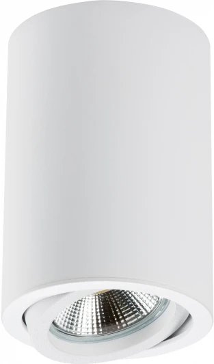 214406 Накладной точечный светильник Lightstar Rullo 214406 (220V, круглые)