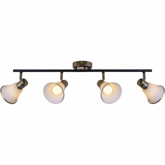 05901-0.8-04 BK+FGD Спот на штанге Reluce 05901-0.8-04 BK+FGD