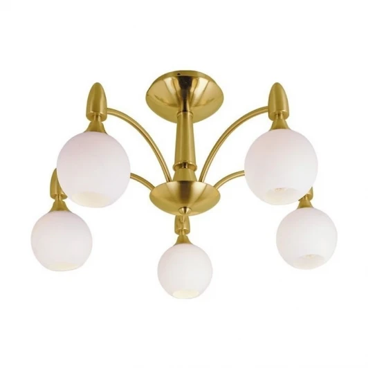 PX-0474/5A satin gold Потолочная люстра N-Light PX-0474 PX-0474/5A satin gold