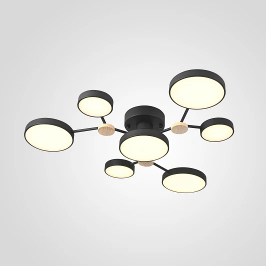 Gamma01 Потолочная люстра на штанге Gamma D88 Black Imperiumloft Gamma01 (223768-23) (LED, 220V, пульт управления, круглые)