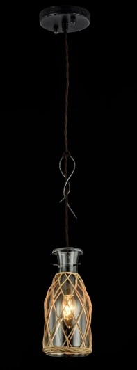 H099-11-B Подвесной светильник Maytoni Rappe H099-11-B