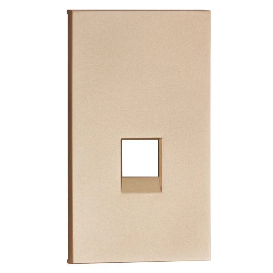 ACH07M2 Интернет RG-45/RG11 накладка 2-ух модульная шампань матовый Meiton ACH07M2