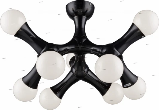 2002/9PL LuceSolara 2002 2002/9PL