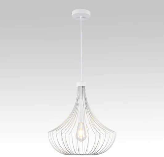 LSP-6026 Подвесной светильник Lussole Refugio LSP-6026 (220V, на проводе)