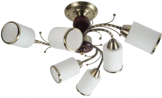 602.01 Потолочная люстра Mobitlux 602 602.01