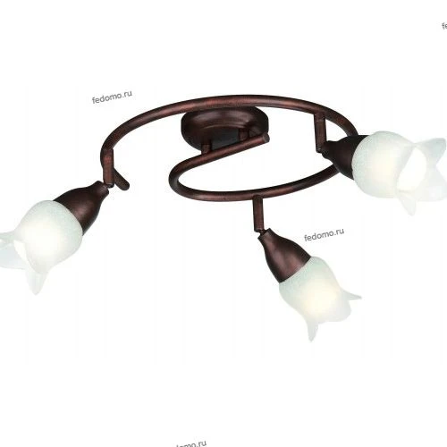 50199-43-10 Massive Lily 50199-43-10