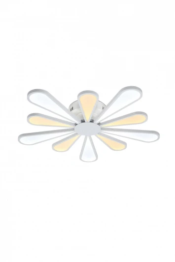 Miracoli 202.10 LED Lucia Tucci Miracoli 202.10 LED
