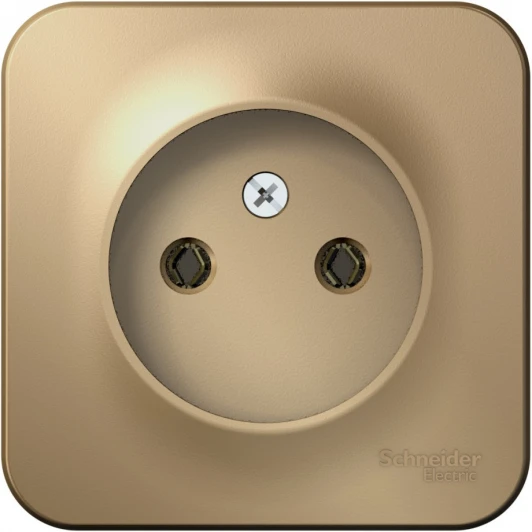 BLNRA000114 Розетка накладная без заземления (титан) Systeme Electric Blanca BLNRA000114