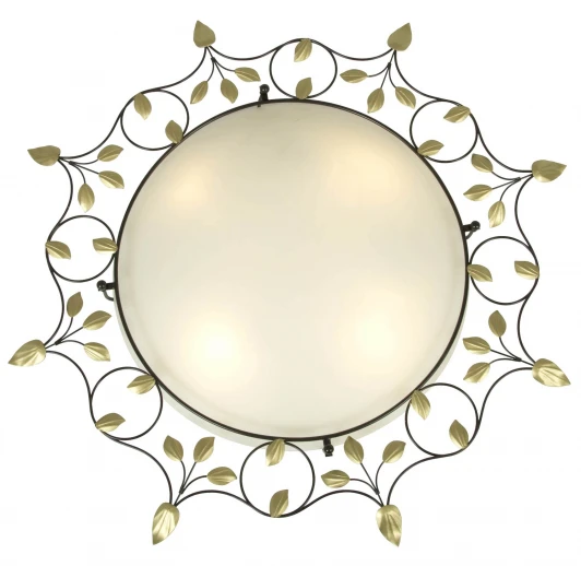 1101-4C Настенно-потолочный светильник Favourite Terra 1101-4C