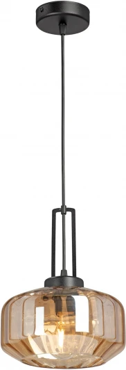 V20530-1/1S Подвесной светильник Vitaluce V20530-1/1S (220V, на проводе, круглые)