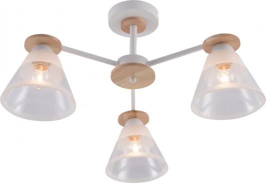 9177-303 Потолочная люстра на штанге Rivoli Theothila 9177-303