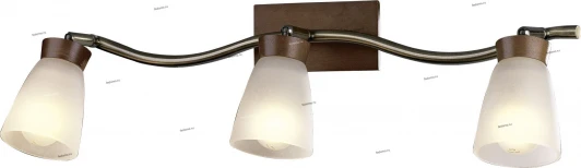 1971/3W Спот Odeon Light Tara 1971/3W