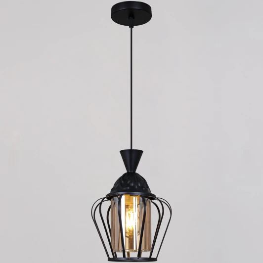 11180-0.9-01 BK Подвесной светильник Reluce 11180-0.9-01 BK (220V, на проводе)