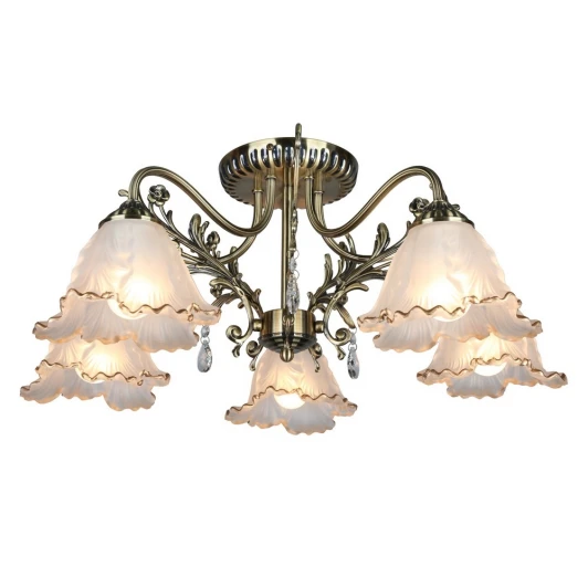 OML-54807-05 Потолочная люстра Omnilux Petrara OML-54807-05 (220V)