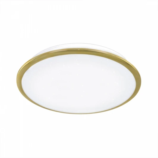 CL70342 Настенный светильник Citilux Старлайт CL70342