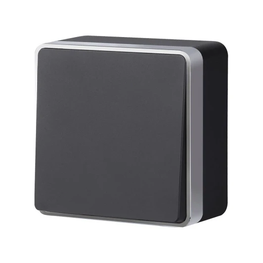 W5010034 Выключатель одноклавишный Gallant Werkel W5010034 (черный с серебром)