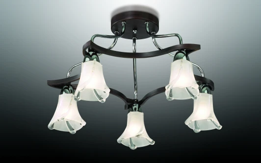 2237/5C Потолочная люстра Odeon Light Iwo 2237/5C