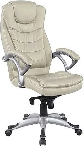 2065Н biege Кресло руководителя Хорошие кресла Patrick 2065Н biege