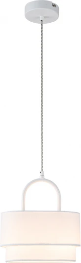 V000439 Подвесной светильник 13024/2P White Indigo Borsa V000439 (220V, на проводе, круглые)