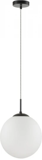 6510/1 Подвесной светильник Lumion Summer 6510/1 SUSPENTIONI черный E27 1*60W 220V (на проводе, шар)