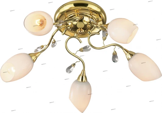 1604/5 Потолочная люстра Odeon Light Fiera 1604/5