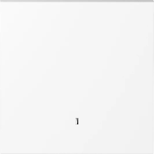 DS29003 Клавиша 1-я с подсветкой, глянцевый белый Donel S08 DS29003