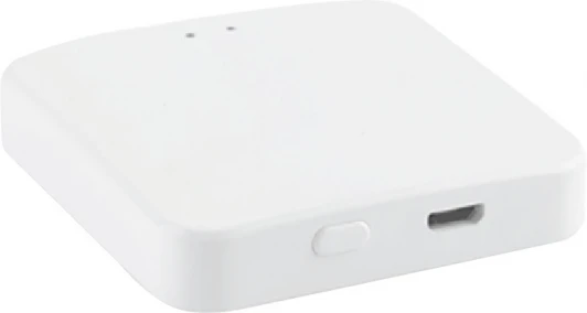 R-GW-WF-ZGBT Шлюз SWG SLIM R-GW-WF-ZGBT (220V)