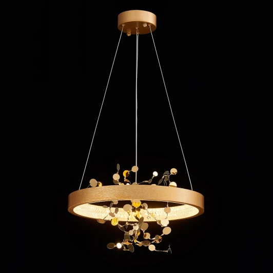 10782 Подвесной светильник Cloyd Turbulent 10782 (LED, 220V, на тросе, кольцо)