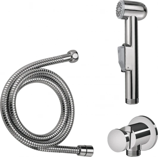 F0202100 Гигиенический душ Am.Pm F0202100