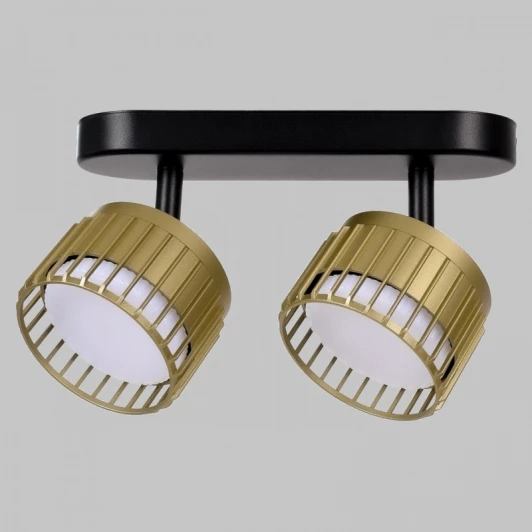 IL.0005.2301-2-BMG Настенно-потолочный спот Imex Grido IL.0005.2301-2-BMG