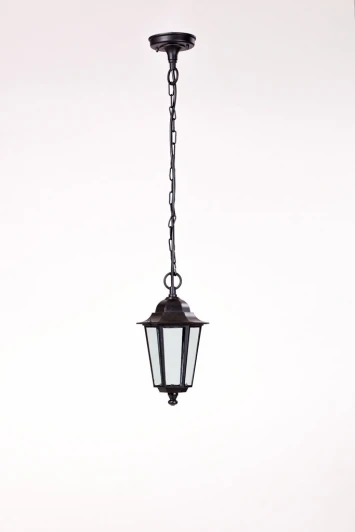 79805S Bl Уличный светильник подвесной Oasis Light 79805S Bl (220V, на цепи, IP44)