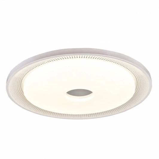 2463-6C Потолочный светильник F-Promo Dafna 2463-6C