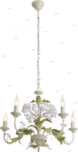 2600877/5PW Snowlight 2600877/5PW