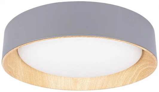 10202 Grey Потолочный светильник круглый светодиодный Loft It Coin 10202 Grey (220V, круглые)