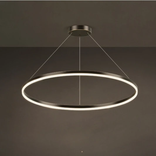 cruise-one-lux01 Кольцевой подвесной светильник Cruise One Lux D100 ImperiumLoft Cruise-One-Lux01 (204623-23)