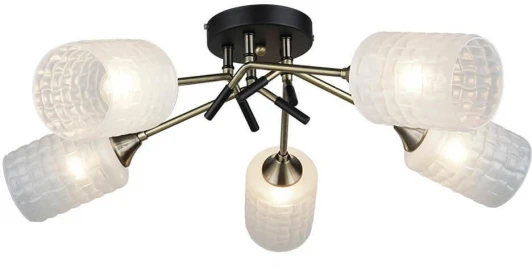 66673.01.37.05 Потолочная люстра Wedo Light Noverate 66673.01.37.05