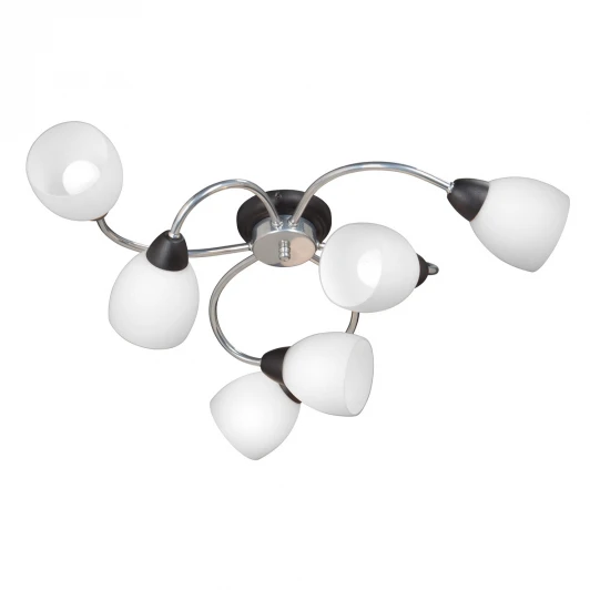 V3749-1/6PL Потолочная люстра Vitaluce V3749-1/6PL (220V)